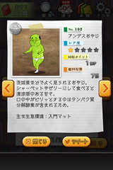 IMG_0791.png
