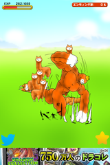 IMG_0346.png