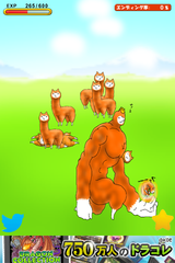 IMG_0347.png