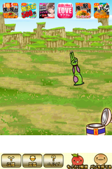 IMG_0250.png